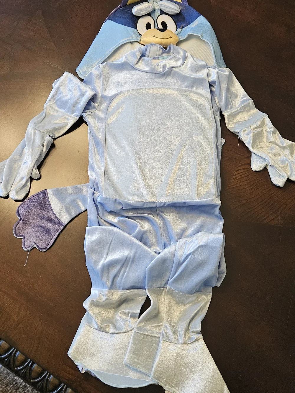 Bluey Character Kids Halloween Costume